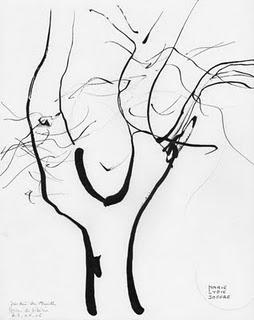 Arbre à l'encre de Chine : Orme de Sibérie