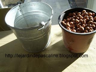 Quand l'humidité est indispensable !