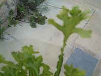 Quand l'humidité est indispensable !