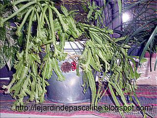 Quand l'humidité est indispensable !