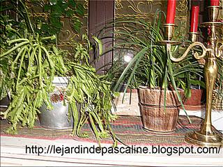 Quand l'humidité est indispensable !