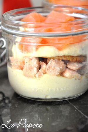 Tiramisu_aux_deux_saumons_et_ciboulette_2