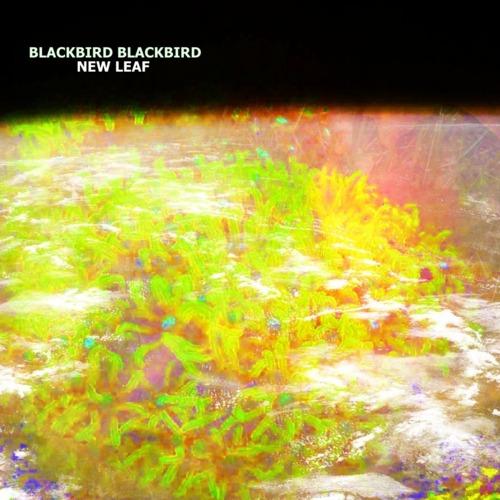 Blackbird Blackbird: New Leaf - Stream
New Leaf, c’est le...