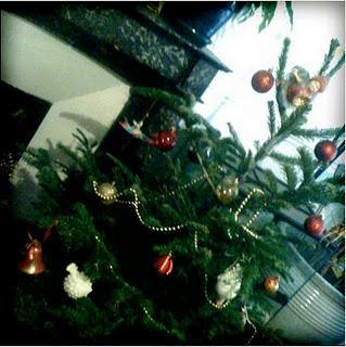 Mon beau sapin à moi
