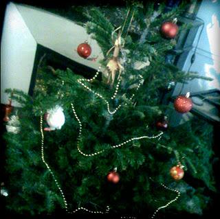 Mon beau sapin à moi