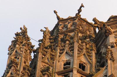 Oiseaux de pierre, oiseaux de plume à la cathédrale