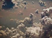 Circus Lambs Pologne France