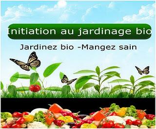 Mon potager bio