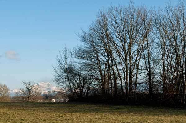 -neige.jpg