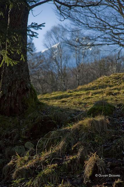 L'Auvergne : la vallée de Chaudefour avec BeGlob