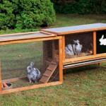 Réaliser une cage à lapin à partir de palettes en bois