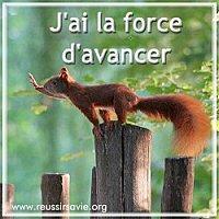 force-avancer.jpg