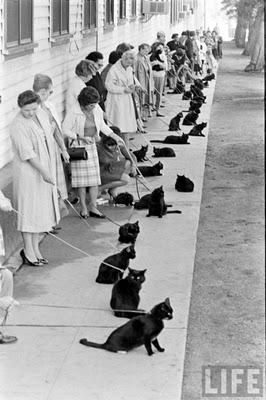 Black & White inspiration //