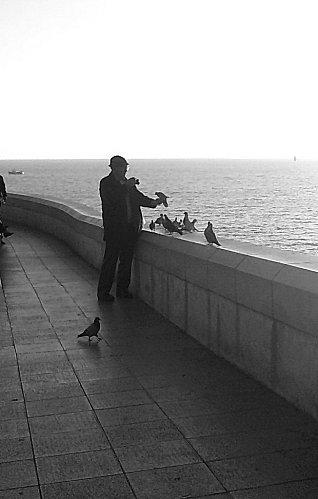 l-h-aux-oiseaux.jpg