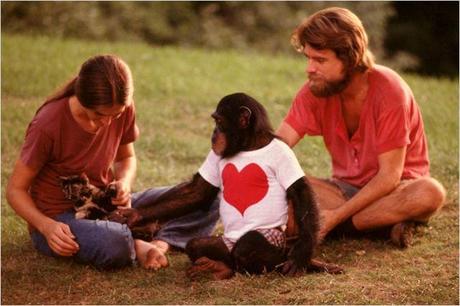 Critique cinéma : Le Projet Nim