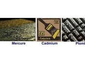 Toxicité humaine métaux lourds mercure, plomb cadmium