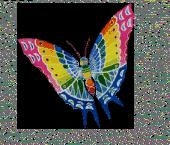 papillon-multicolore-copie-1