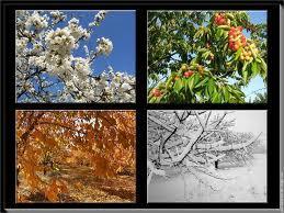 LES SOINS VISAGE POUR UN TEINT RAYONNANT !