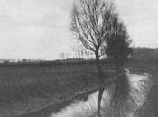Promenons -nous dans bois colline Marchenelles.