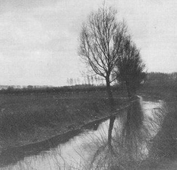 Promenons -nous dans le bois de la colline de Marchenelles.