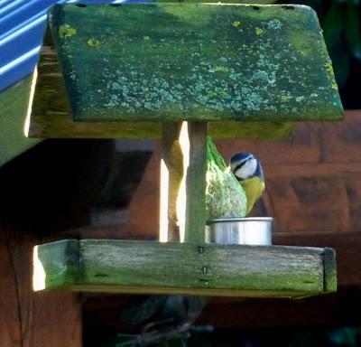 L'année 2012 aura commencé dans une douceur inhabituelle ...