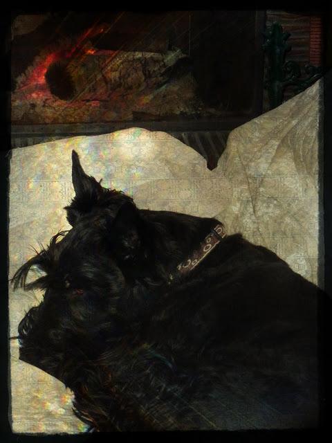 L'année 2012 aura commencé dans une douceur inhabituelle ...