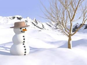 Comble du bonhomme de neige Bonhomme-neige-cette-annee-L-NM2wQA