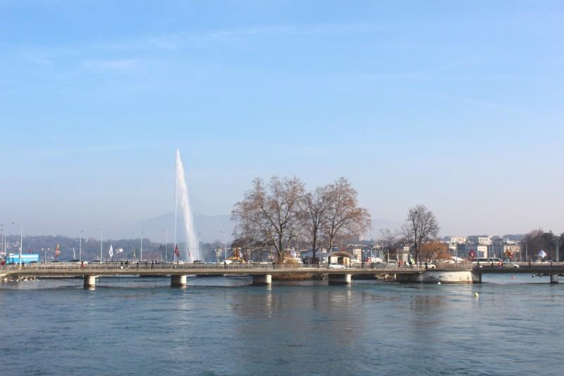 IMG_7988-ssssss1111.jpg