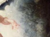 brèves c’est bref numéro