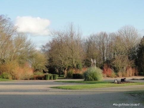 Promenade hivernale  loossoise.