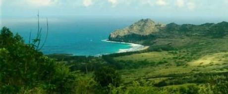 The Descendants, critique