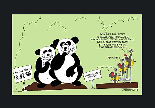 PANDAS-CINE-CLUB.gif