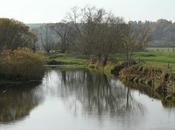 Pêle-mêle Sepvigny, pour l'ambiance