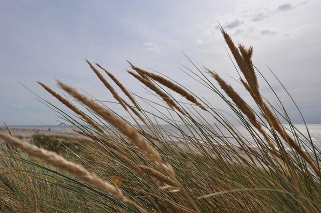 Un week-end au Touquet