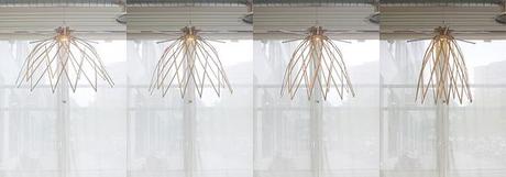 Découverte et redécouverte