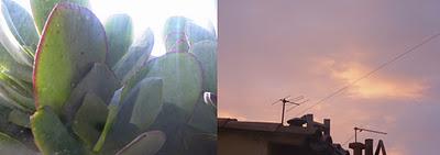 janvier à ma fenêtre