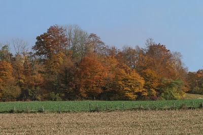 Sepvigny -Le  Vieux Astre