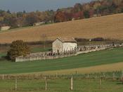 Sepvigny Vieux Astre