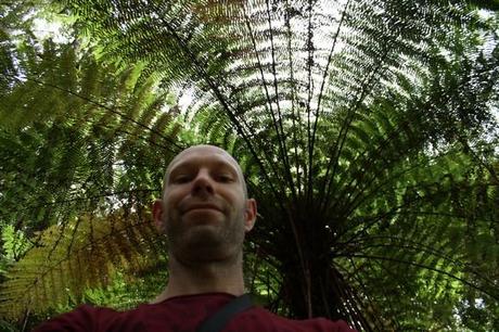 moi sous une fougère