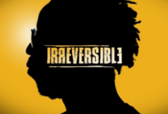Youssoupha – Irréversible (clip)