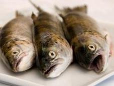 Santé mangez poissons d'eau douce
