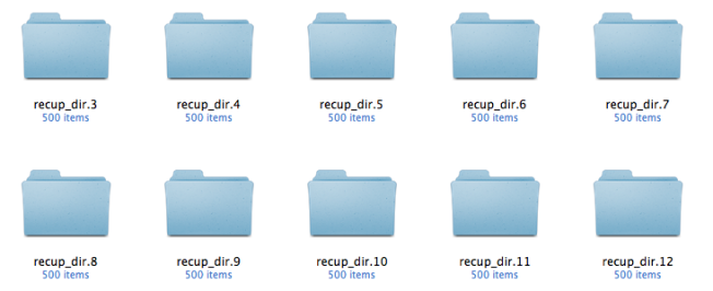 recup_dir.99 Comment j’ai perdu 9 mois de photos (et comment je les ai retrouvées)