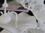 Sculpteo Imprimez vous passe tête