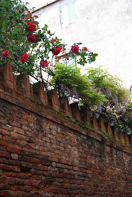 Envie de printemps ?