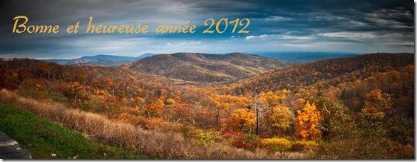 Carte voeux 2012