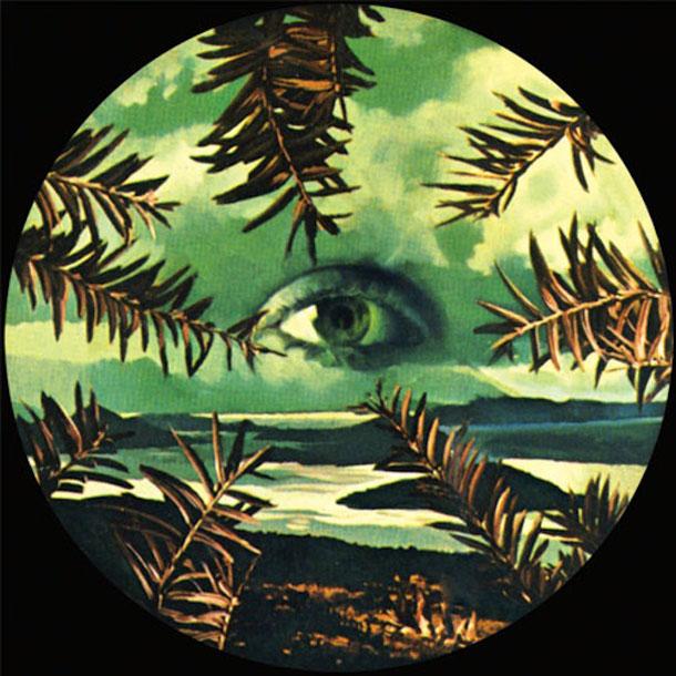 Lilacs & Champagne dévoile un nouveau titre.