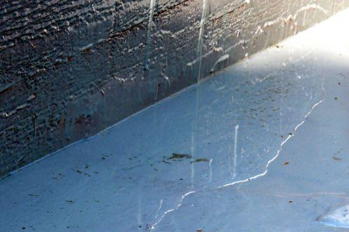 Un temps plus que printanier ! Journal du 21 janvier 2012