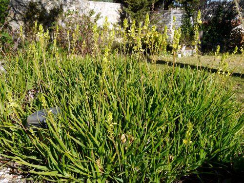 Un temps plus que printanier ! Journal du 21 janvier 2012