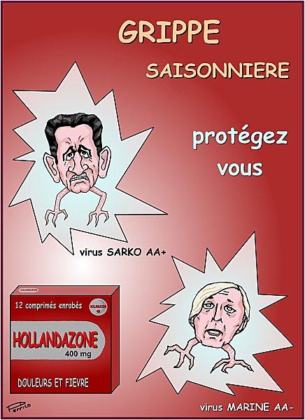 grippe-20-janv-2012.jpg