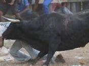 Bayonnais, regardez Bogotá, citoyens seront plus rackettés pour corrida